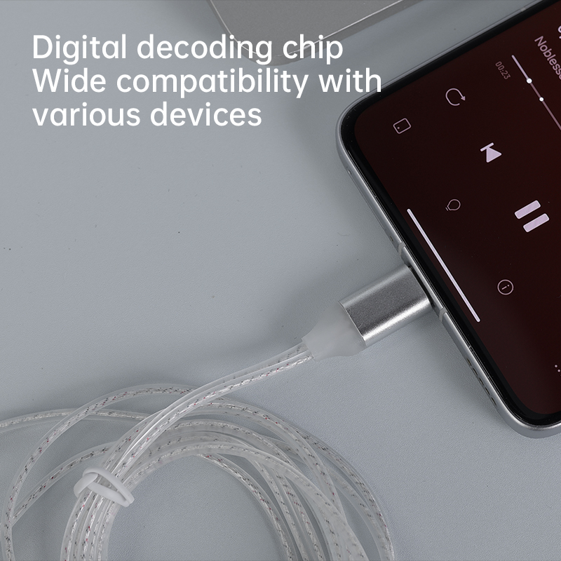 CCA C1 Type-c Silver Plated Ea - Usb C Earphone recensione e prezzo